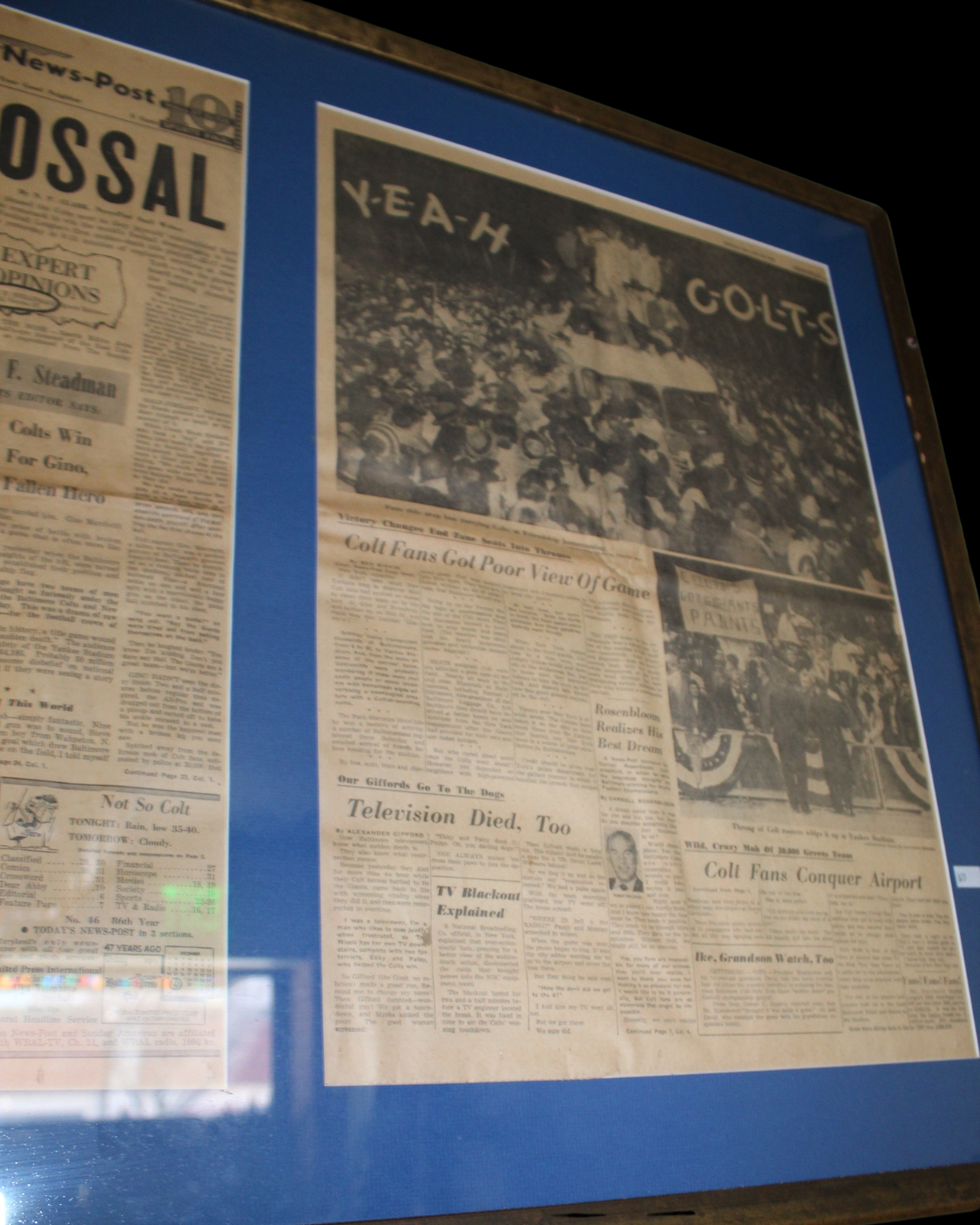 Col(T)ossal Newspaper Double Framed