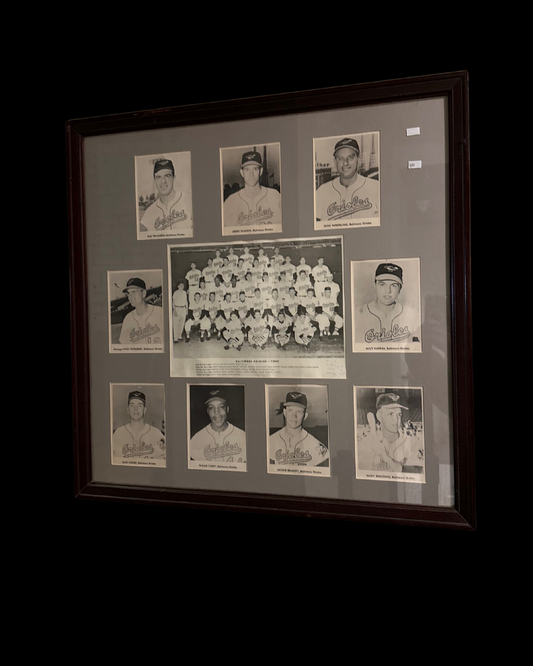 Baltimore Orioles 1960 Team Photo + Portraits